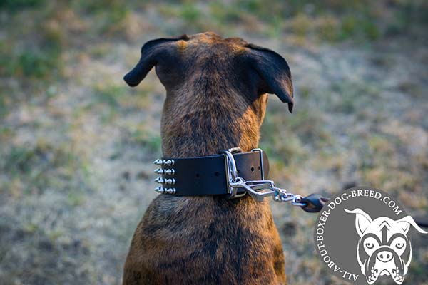 Boxer brown leather collar wide with riveted fittings   for any activity