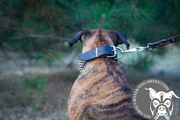 Boxer black leather collar of genuine materials with traditional buckle for safe walking