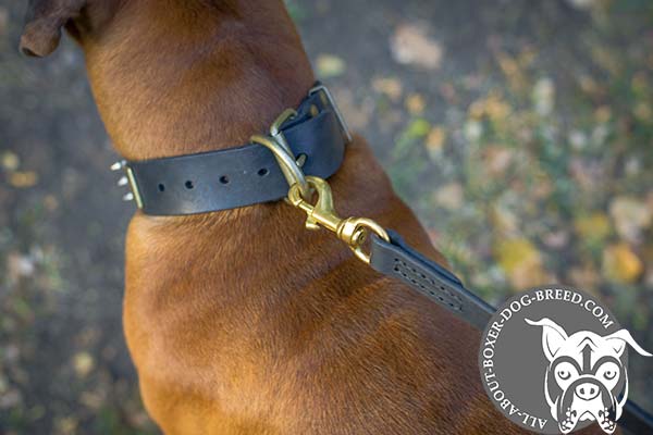 Boxer leather collar of genuine materials with traditional buckle for perfect control