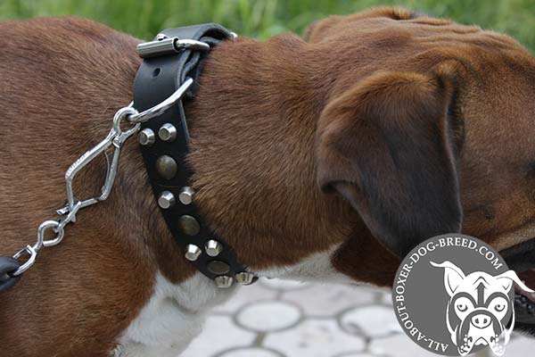 Boxer black leather collar with vintage studs for daily activity