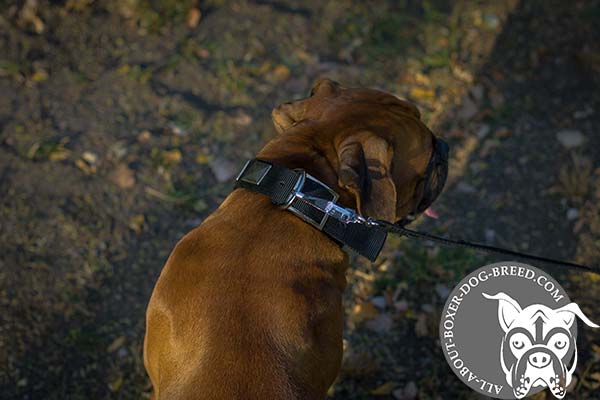Boxer nylon collar adjustable  with nickel plated fittings for better comfort