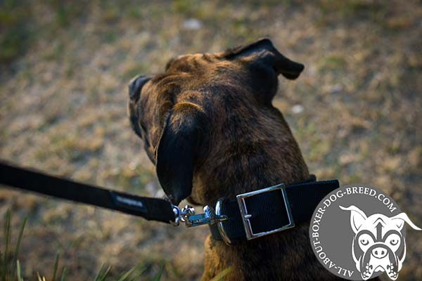 Boxer nylon collar extra wide with traditional buckle for any activity