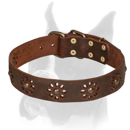 Brown Leather Collar for Walking