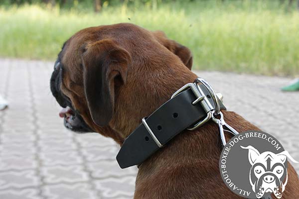 Leather Boxer Collar with Strong Buckle and D-Ring