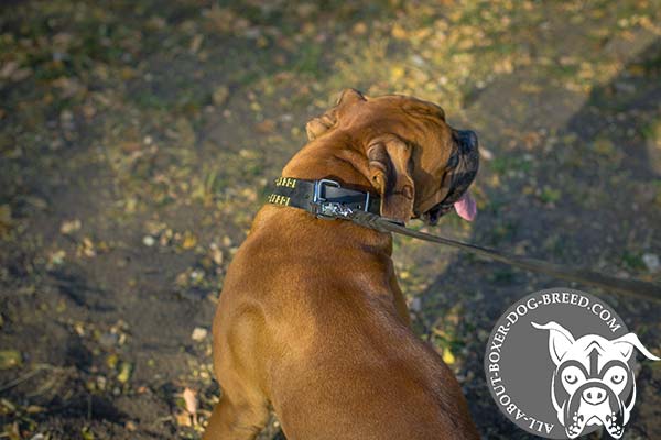 Leather Dog Collar with Nickel Plated Buckle and D-Ring for Boxer