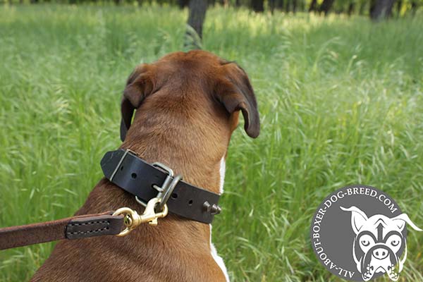 Reliable Leather Boxer Collar with Comfortable Buckle