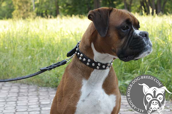 Leather Dog Collar Decorated with Studs for Boxer