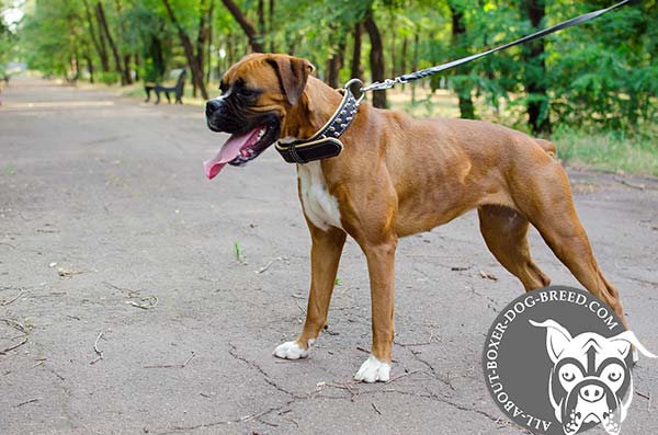 Handmade Decorated Leather Collar for Boxer
