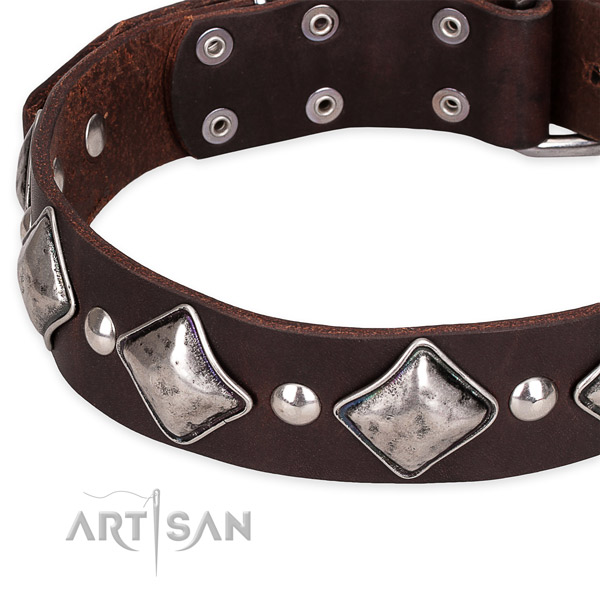 Easy to adjust leather dog collar with resistant rust-proof fittings