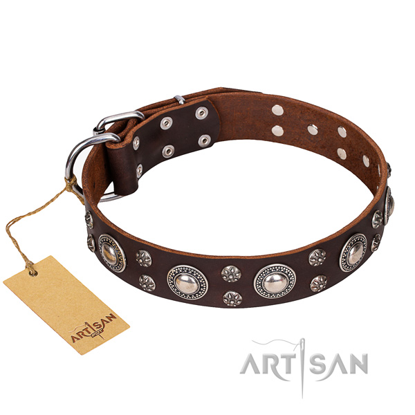 Strong leather dog collar with sturdy fittings
