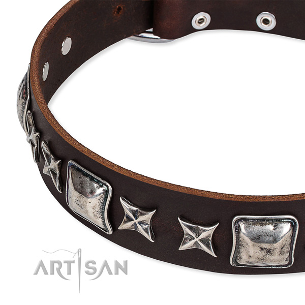 Full grain natural leather dog collar with adornments for walking