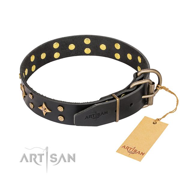 Handy use full grain leather collar with adornments for your four-legged friend