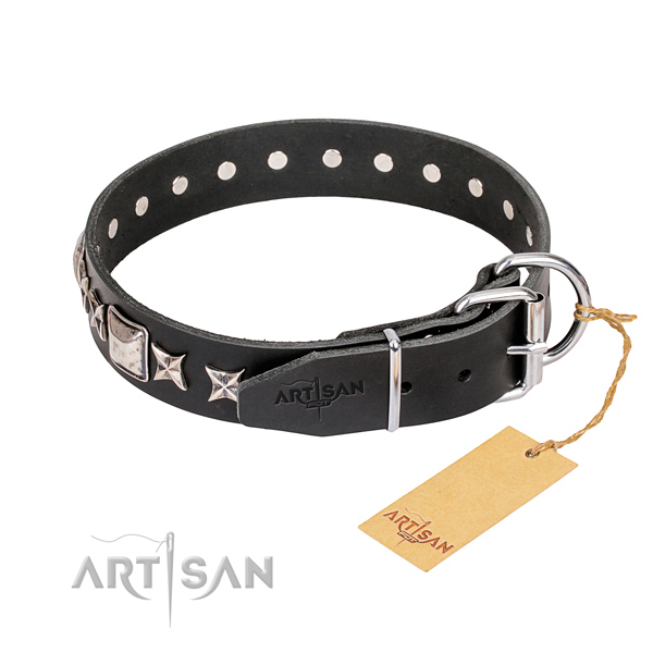 Everyday use full grain genuine leather collar with embellishments for your canine