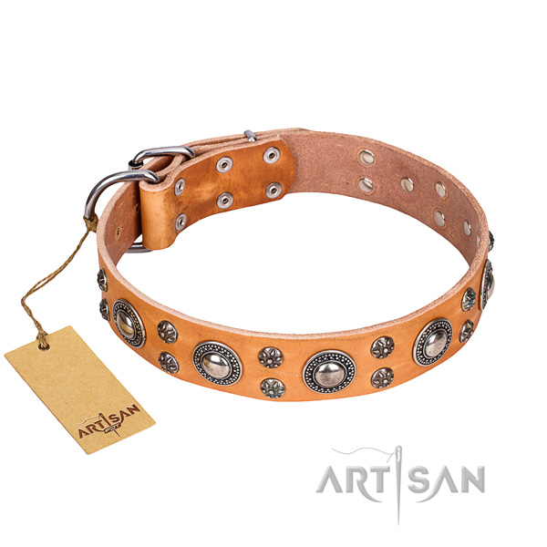 Remarkable full grain leather dog collar for walking