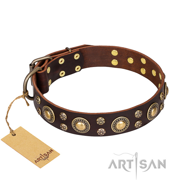 Fashionable full grain leather dog collar for walking