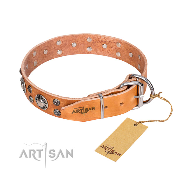 Walking full grain leather collar with studs for your dog