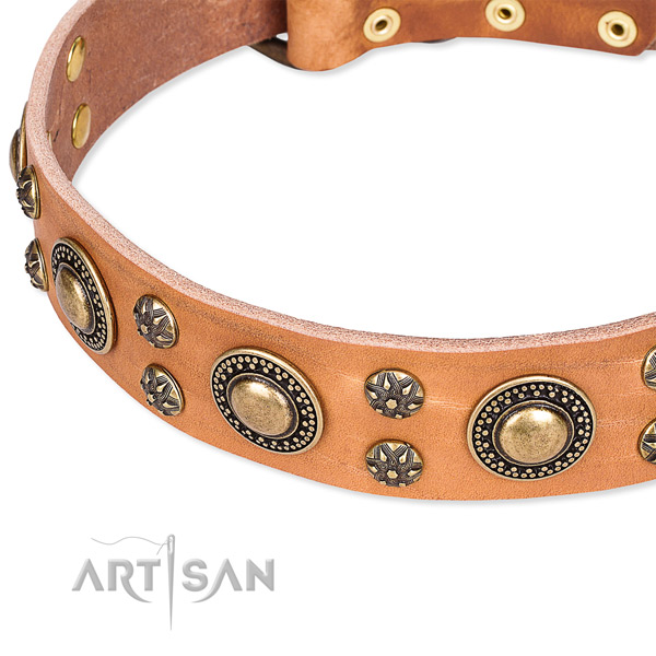 Leather dog collar with remarkable adornments