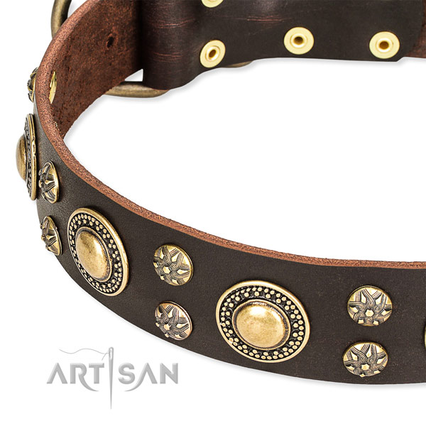 Leather dog collar with top notch embellishments