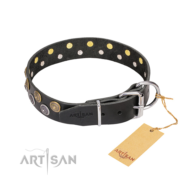 Everyday use full grain natural leather collar with embellishments for your canine