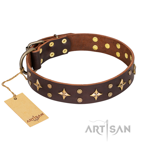Significant full grain leather dog collar for handy use