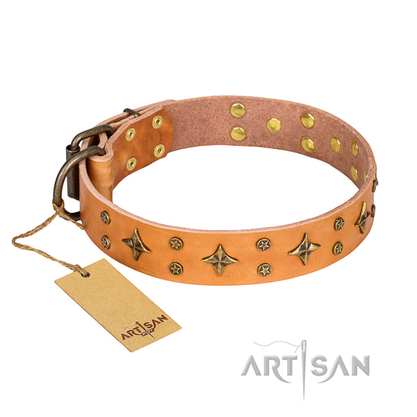 Incredible natural genuine leather dog collar for stylish walking