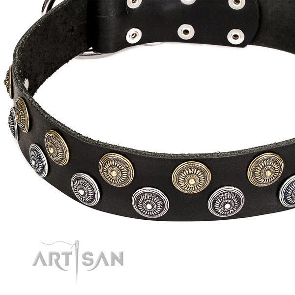 Genuine leather dog collar with impressive embellishments