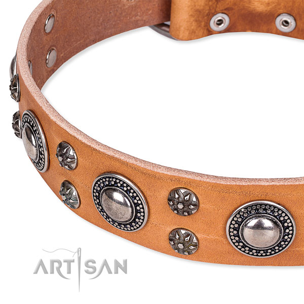 Daily use full grain genuine leather collar with durable buckle and D-ring