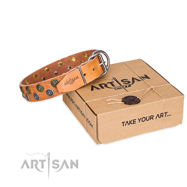 Full grain natural leather dog collar with embellishments for daily use