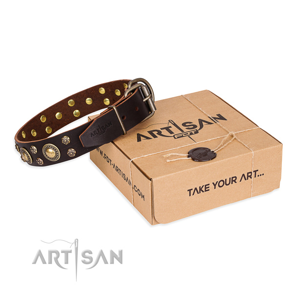 Top quality full grain natural leather dog collar for everyday walking