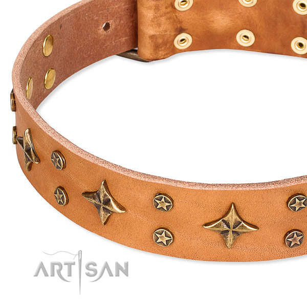 Full grain genuine leather dog collar with exceptional studs
