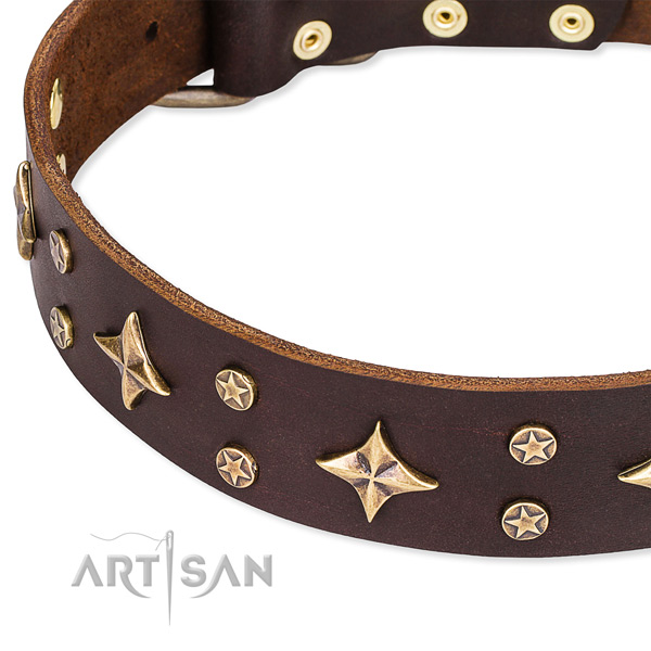 Full grain genuine leather dog collar with fashionable adornments