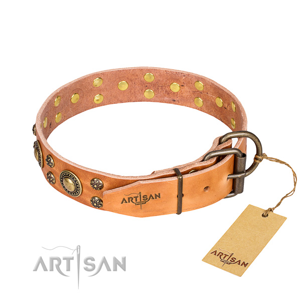 Daily use leather collar with decorations for your pet
