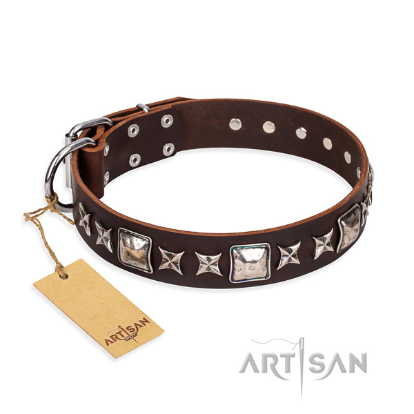 Top notch leather dog collar for everyday use