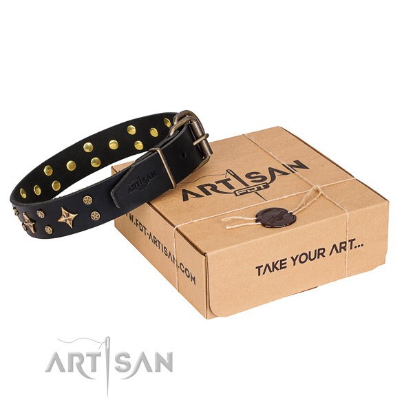 Adorned leather dog collar for everyday use
