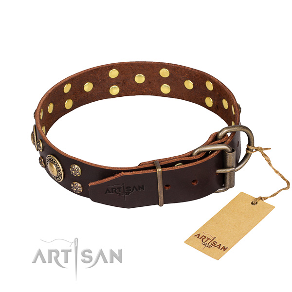 Stylish walking full grain leather collar with studs for your dog