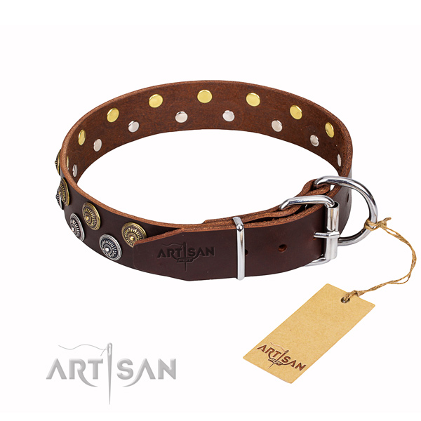 Everyday use full grain leather collar with decorations for your four-legged friend