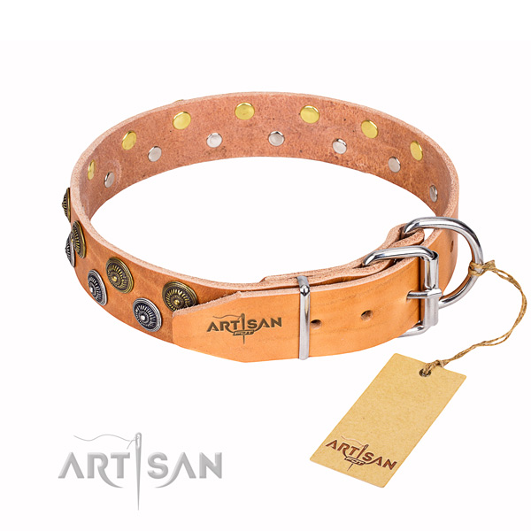 Everyday use full grain leather collar with decorations for your four-legged friend