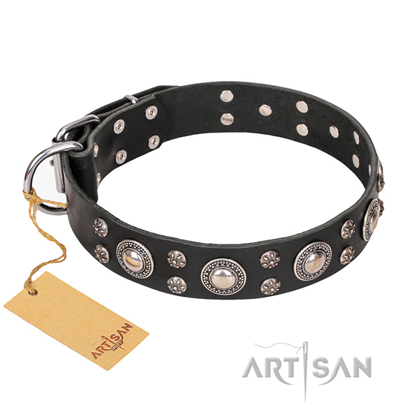 Dependable leather dog collar with chrome plated elements