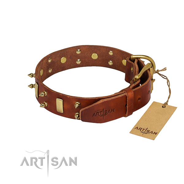 Sturdy leather dog collar with non-rusting elements