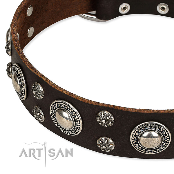 Easy to put on/off leather dog collar with resistant chrome plated buckle and D-ring