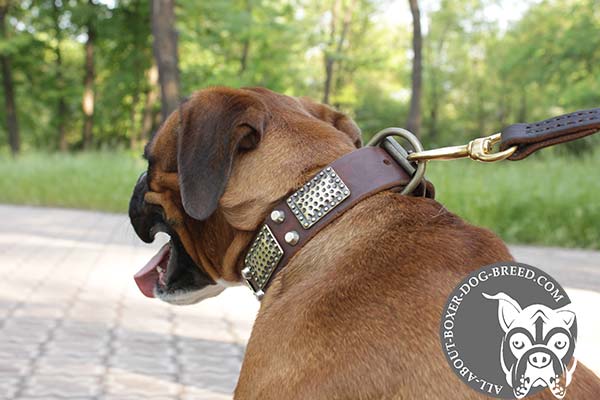 Universal Leather Boxer Collar with Reliable D-Ring