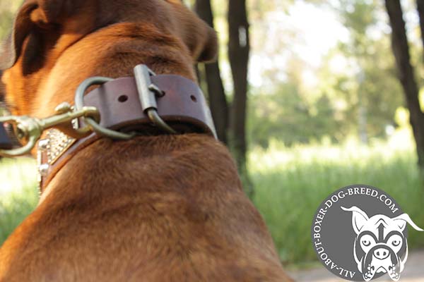 Wide Leather Boxer Collar with Brass Buckle