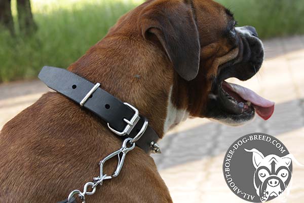 Strong D-Ring on Leather Collar for Boxer