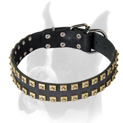 Handmade Studded Leather Collar For Boxer