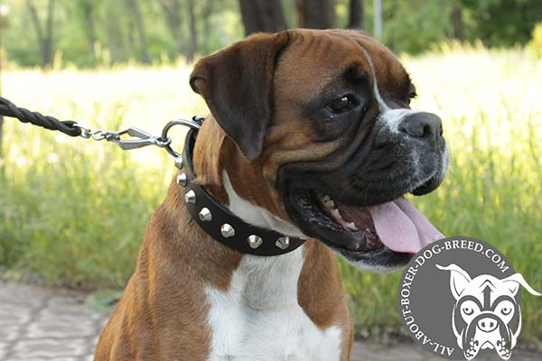 Fashion Leather Collar for Boxer
