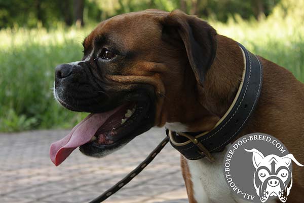 Extra Strong Leather Collar for Boxer