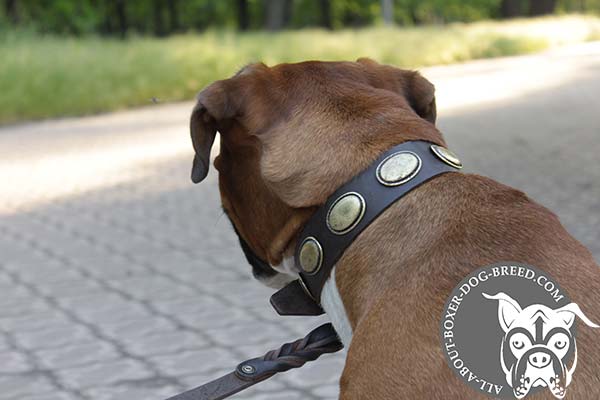 Leather Dog Collar with Vintage Oval Plates for Boxer