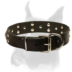Studded Leather Boxer Collar