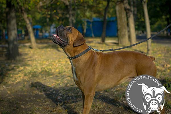 Extra Durable Leather Collar for Boxer
