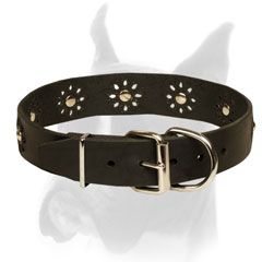 Boxer Collar Leather for Walking